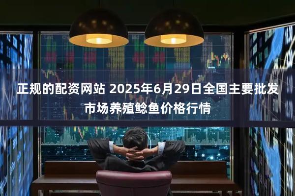 正规的配资网站 2025年6月29日全国主要批发市场养殖鲶鱼价格行情